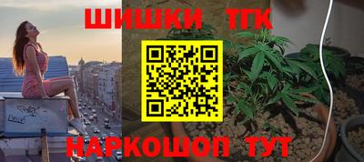 гашик Берёзовский