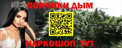 гашик Берёзовский