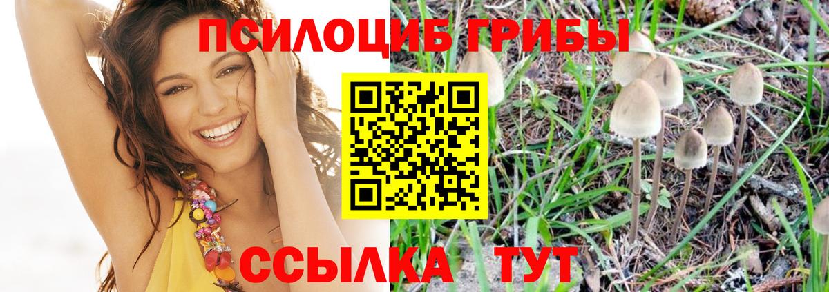 Галлюциногенные грибы прущие грибы  сколько стоит  Камень-на-Оби  Вход с VPN  Галлюциногенные грибы Magic Shrooms 