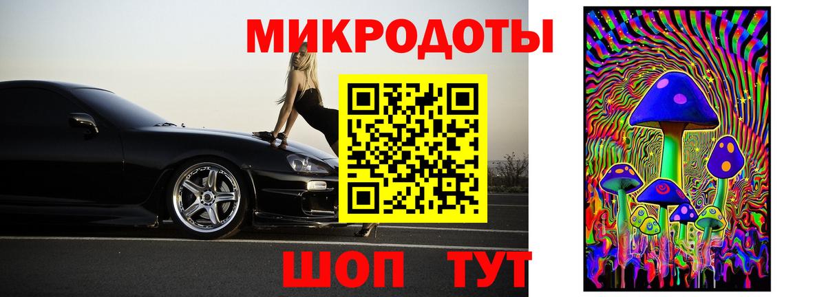 Галлюциногенные грибы мухоморы Камень-на-Оби